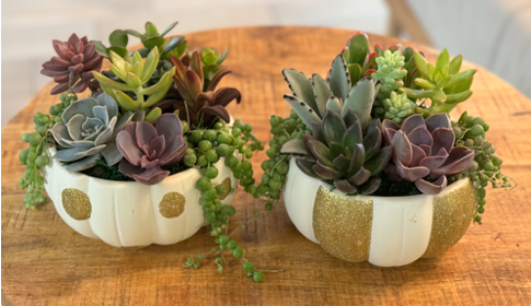Golden Glitter Pumpkin Succulent Planter-image